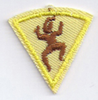 1st Year Participation Patch