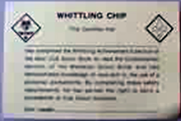 Whittling Chip