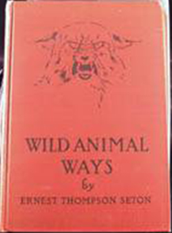 Wild Animal Ways