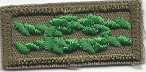 Knot Scouters Training Award