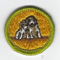 Dog Care Merit Badge