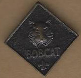 Bobcat Pin