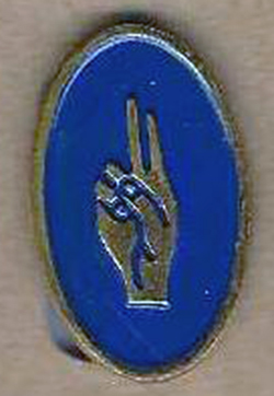 Brownie World Association Pin