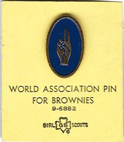 Brownie World Association Pin 9-6882