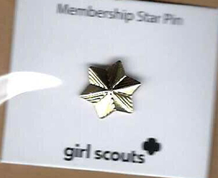 1 Year Service Star GSA