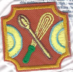 Ambassador Dinner Party Badge 2008 - date