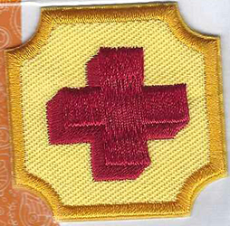 Ambassador First Aid Badge 2008 - date