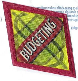 Cadette Budgeting Badge 2011 - Date