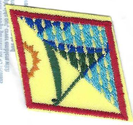 Cadette Primitive Camper Badge 2011 - Date