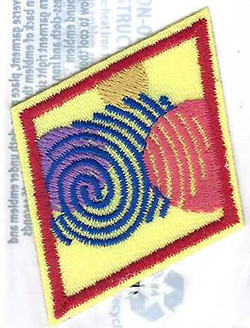 Cadette Special Agent Badge 2011 - Date