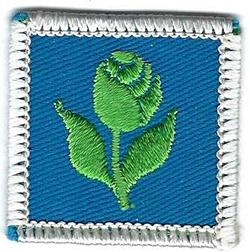 Four Seasons Girl Scout Spring Challenge Patch