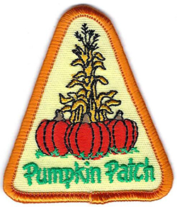 Fun Patch Pumpkin Patch