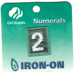 Girl Scout Unit Numeral 2 Small 2003 - Date