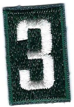 Girl Scout Unit Numeral 3 Large Dark Green 1973 - 1980