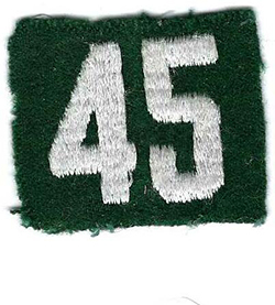 Girl Scout Unit Numeral Troop 45 GSA Felt