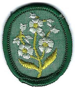 Troop Patrol Crest Forget Me Not 1961 -1979 Used