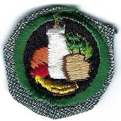 Intermediate Girl Scout Proficiency Badge Nutrition SG99 1938 - 1948