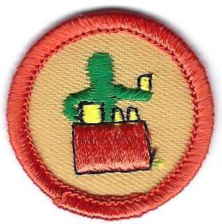 Junior Girl Scout Badge Business Wise JB11 2001- 2011