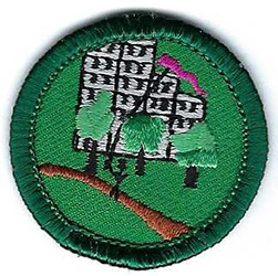 Junior Girl Scout Badge Outdoors In The City JB78 2001- 2011