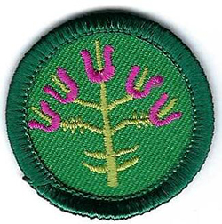 Junior Girl Scout Profeciency Badge Folf Arts J12 1963 - 1990