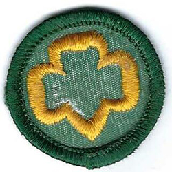 Junior Girl Scout Proficiency Badge My Tefoil J25 1963-1980