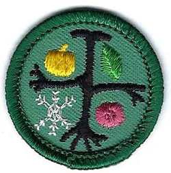 Junior Girl Scout Proficiency Badge Observer J28 1963-1980