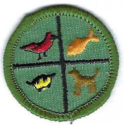 Junior Girl Scout Proficiency Badge Pets J33 1963-1980