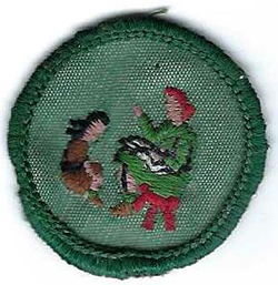 Junior Girl Scout Proficiency Badge Story Teller J39 1963-1980 Used