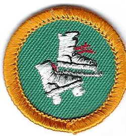 Junior Girl Scout Skater Proficiency Badge J37 1963 -1980