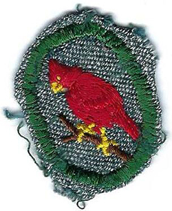 Patrol Troop Crest Cardinal SG06 1938 - 1948