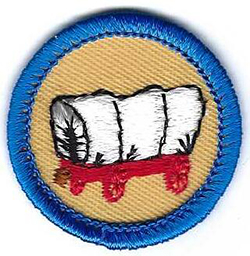 Worlds to Explore Local Lore Proficiency Badge WE21 1980 - 1999